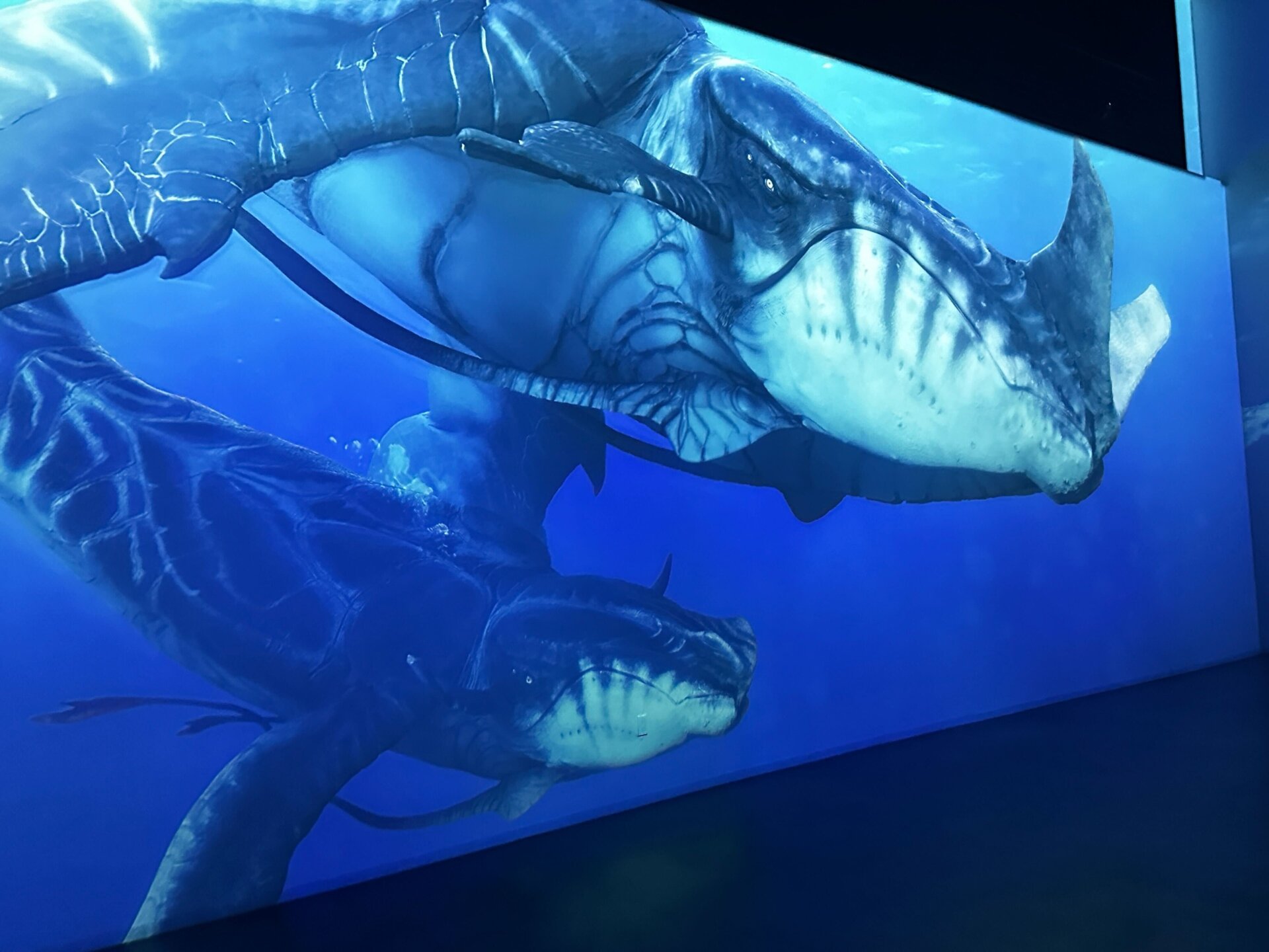 Photo: Sabina Graves/Gizmodo