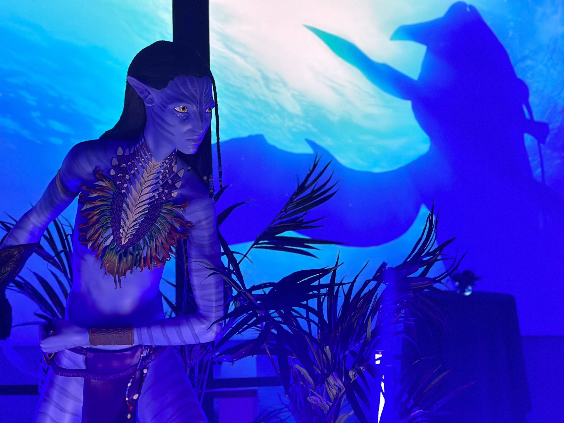 Photo: Sabina Graves/Gizmodo