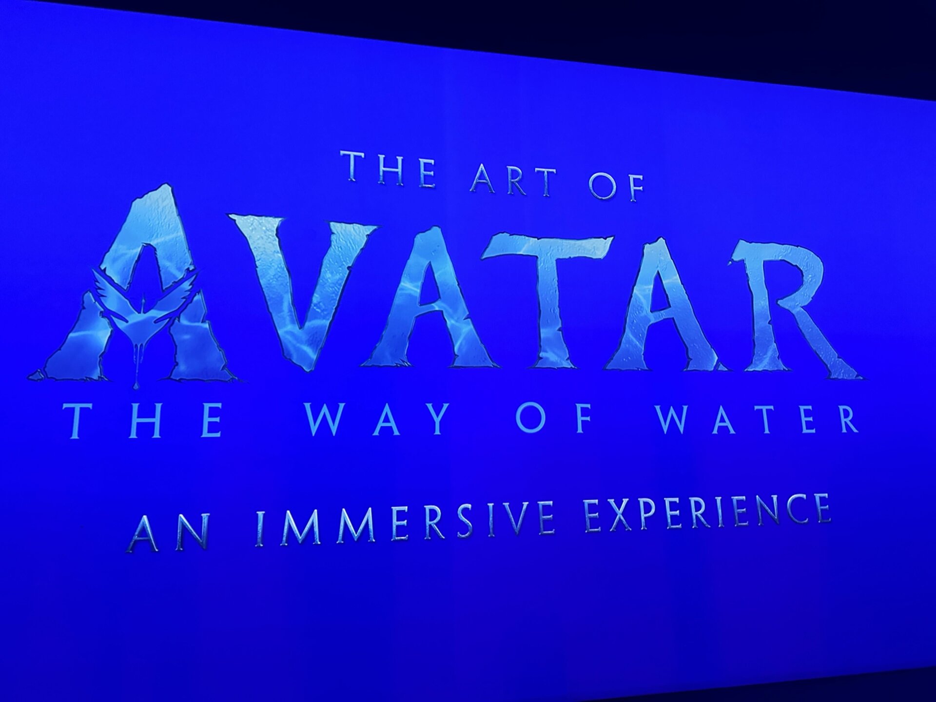 Photo: Sabina Graves/Gizmodo