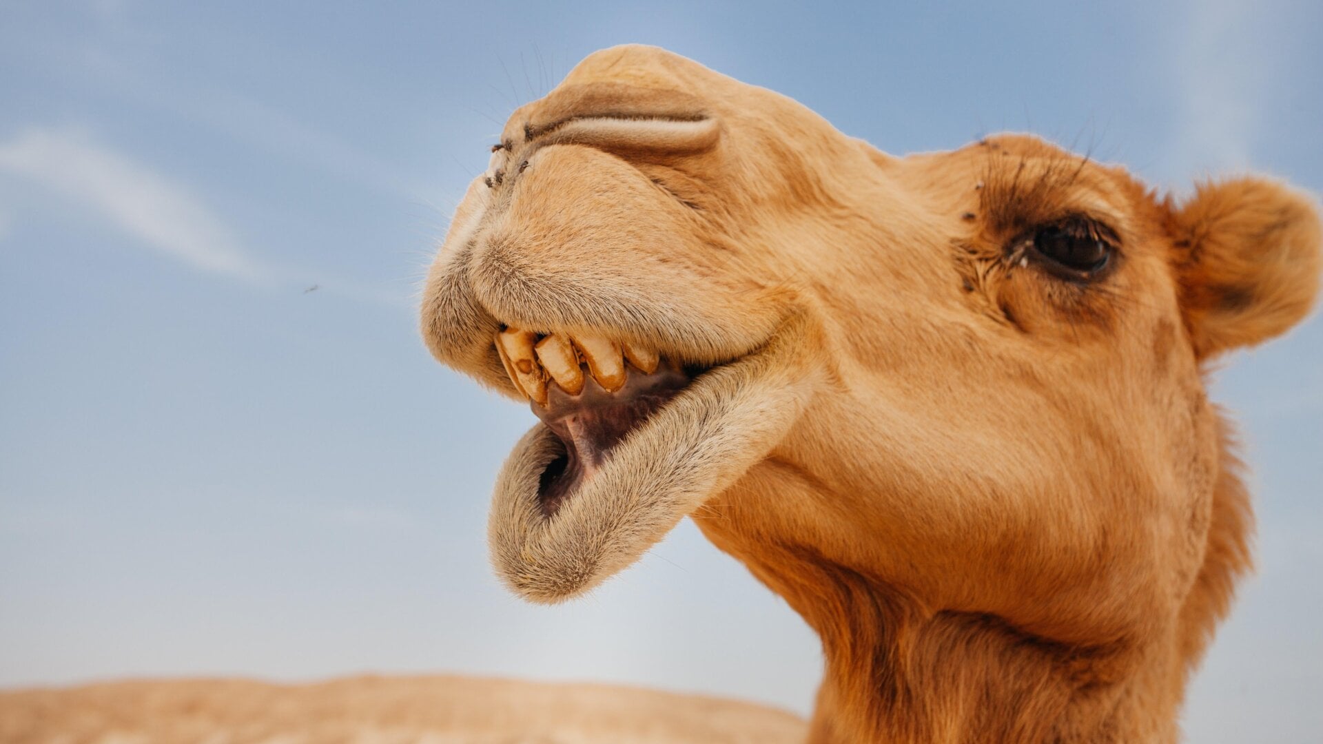 Photo: Alexandra Lande