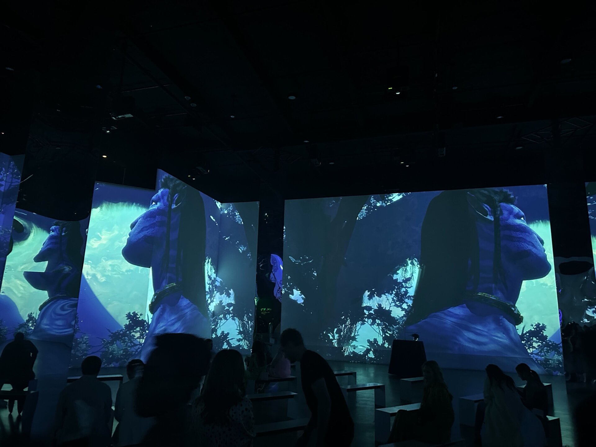 Photo: Sabina Graves/Gizmodo