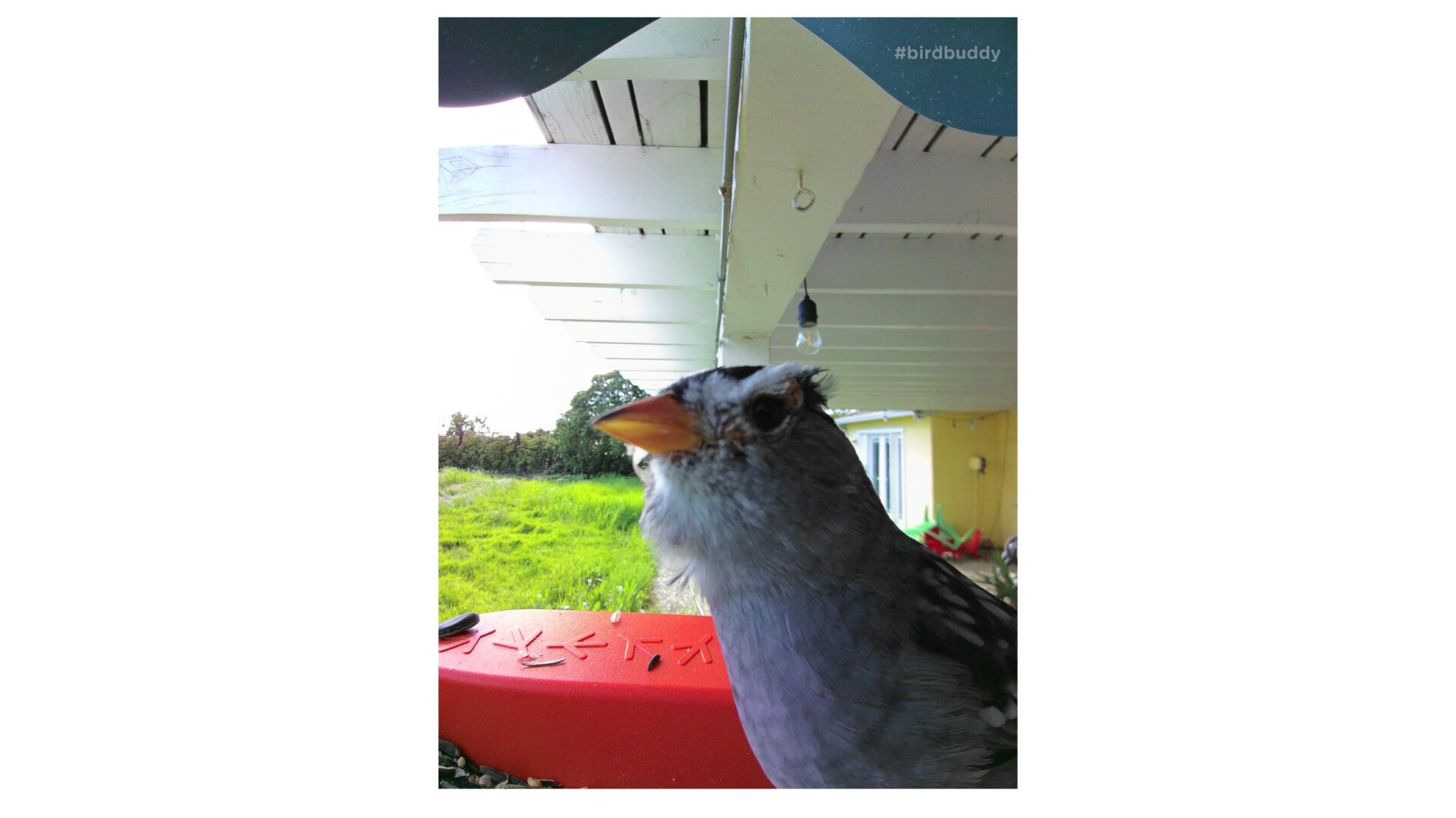 Photo: Florence Ion / Gizmodo