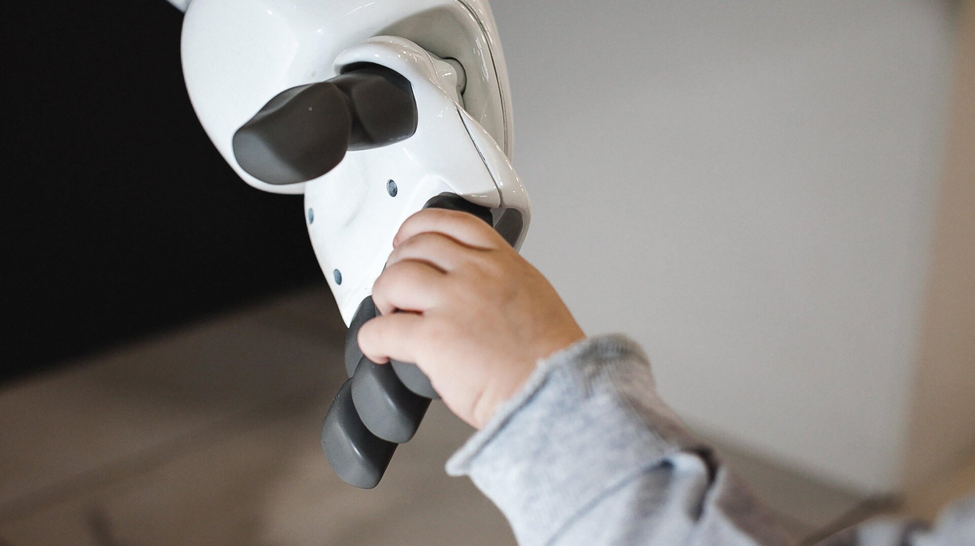 Photo: Olga Belyaevskaya