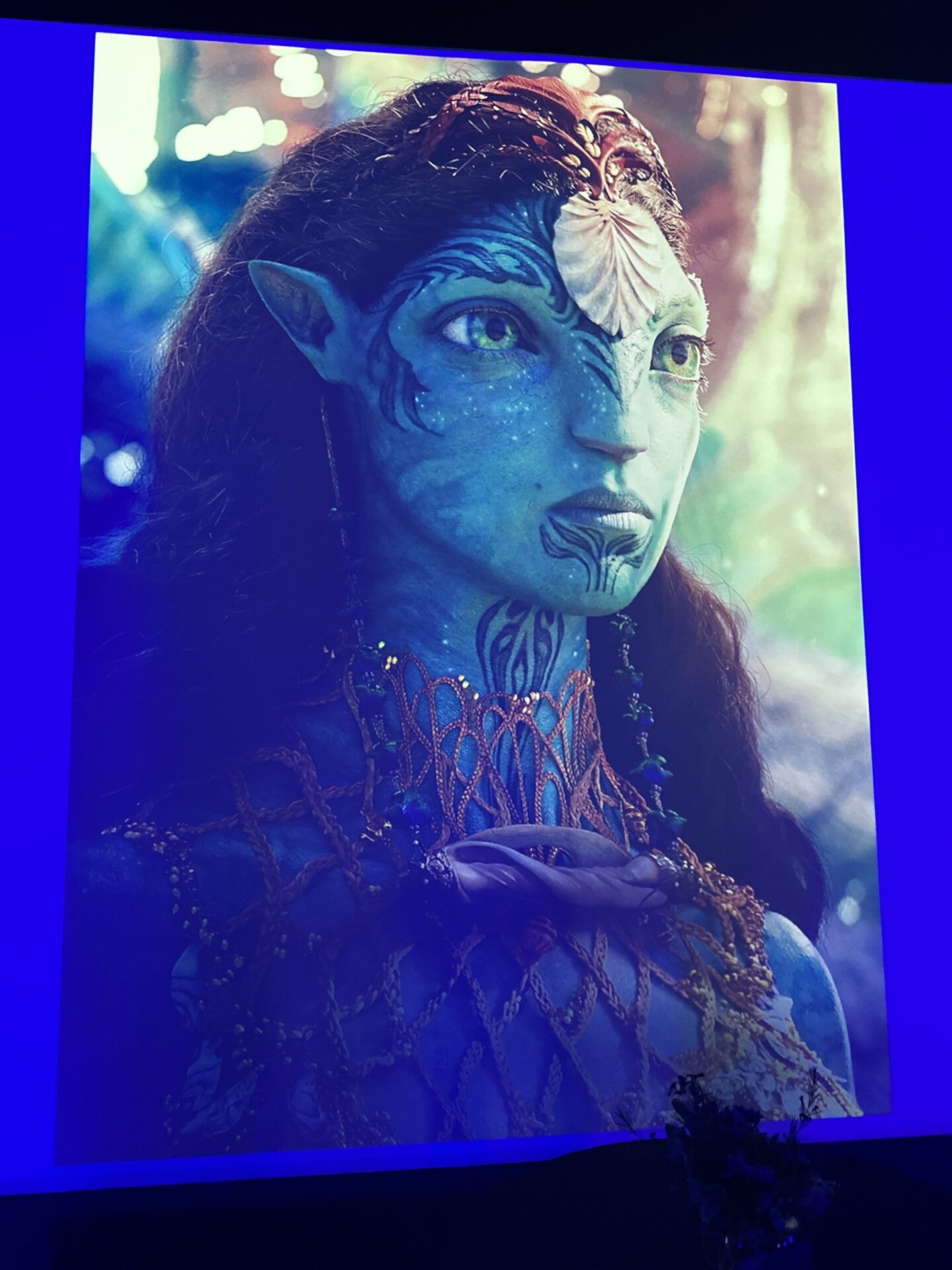 Photo: Sabina Graves/Gizmodo