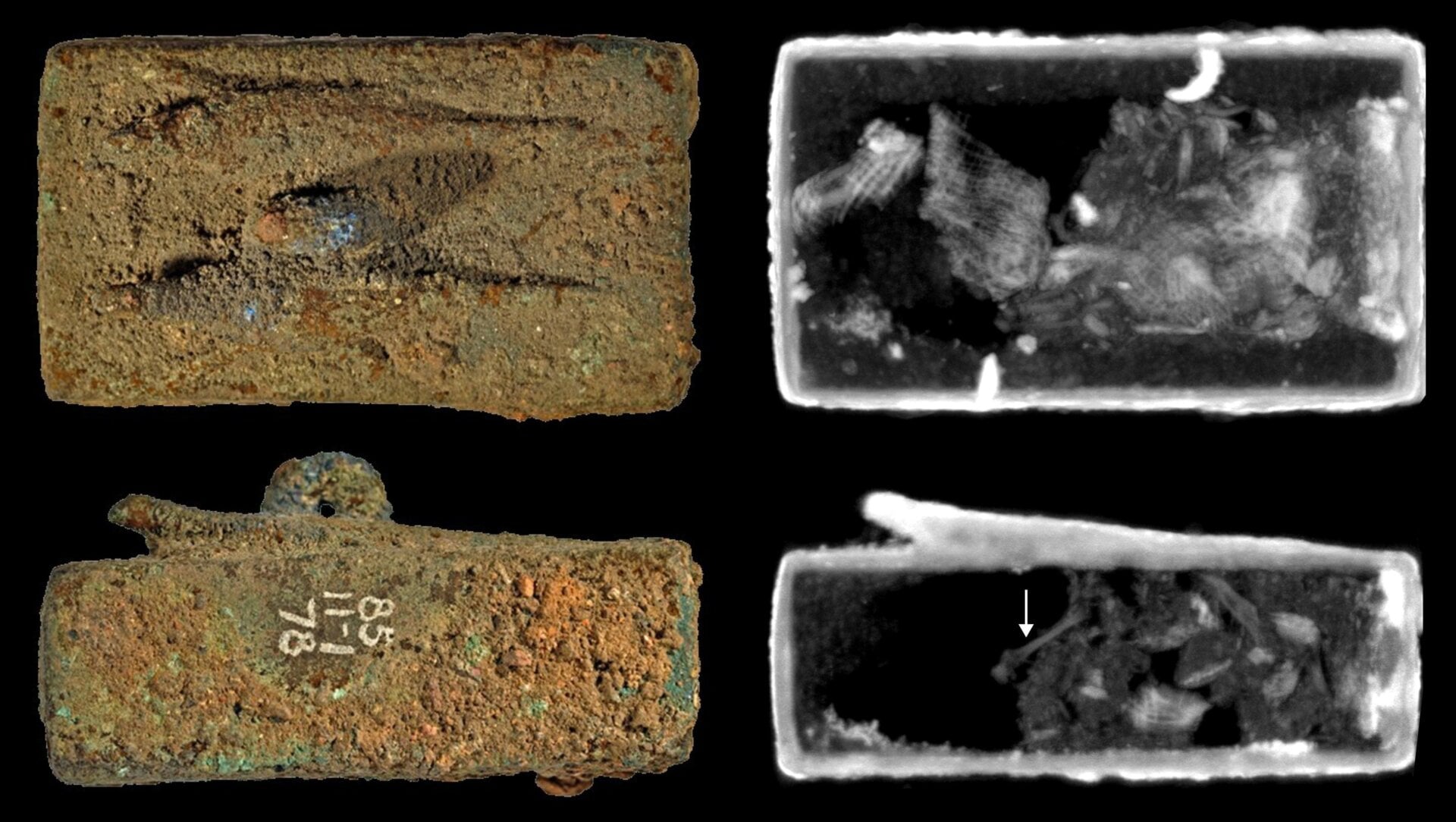 EA27584, decorated with two lizard figures and containing a bone (pointed out bottom right by arrow.)