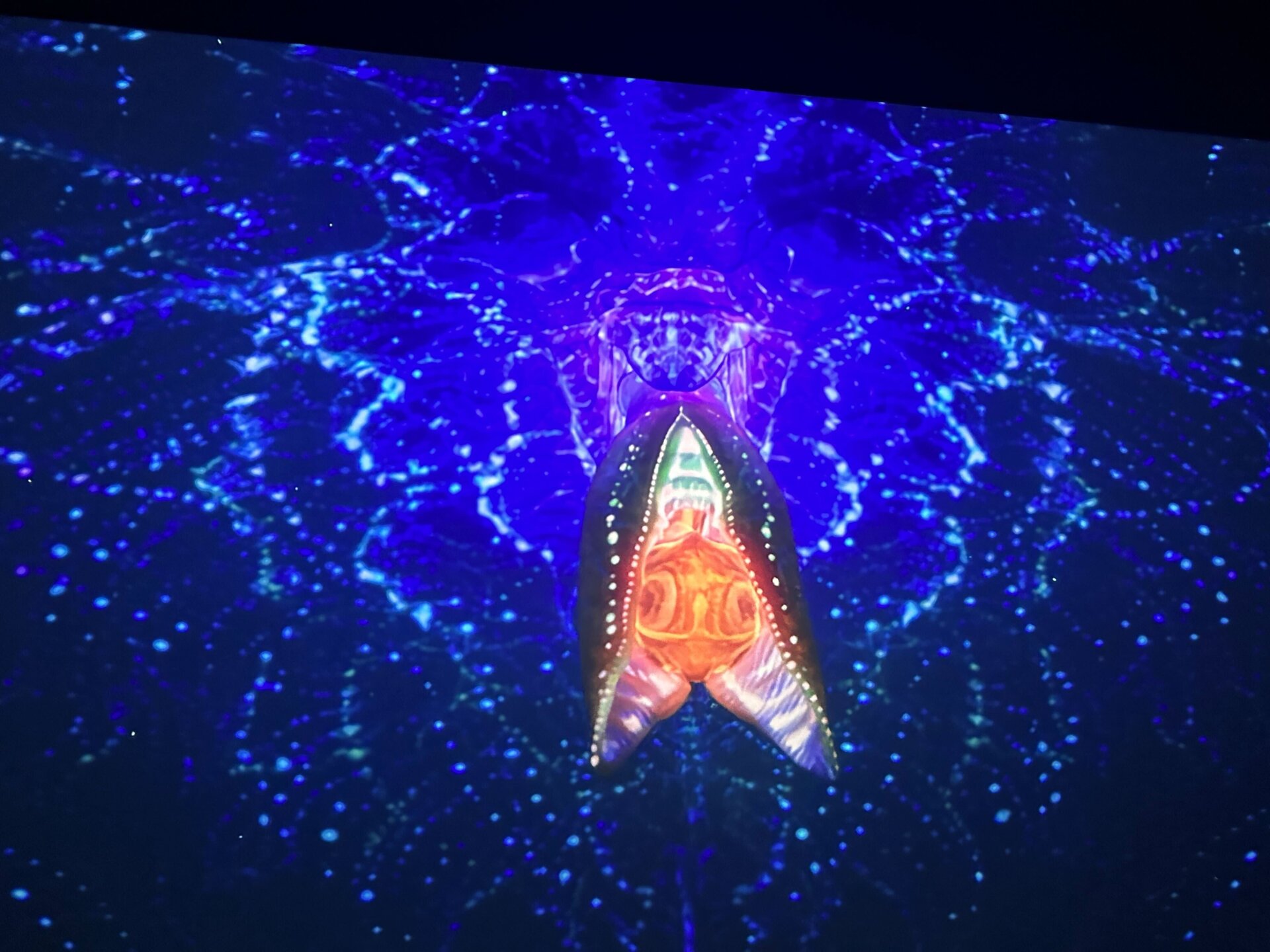 Photo: Sabina Graves/Gizmodo