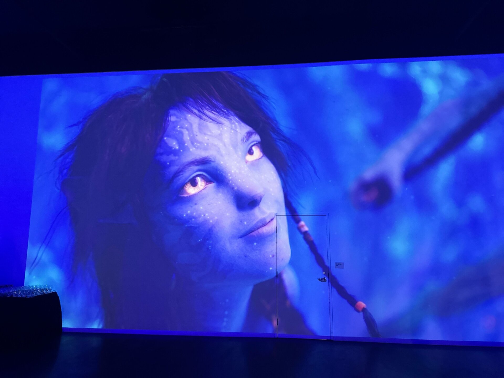 Photo: Sabina Graves/Gizmodo