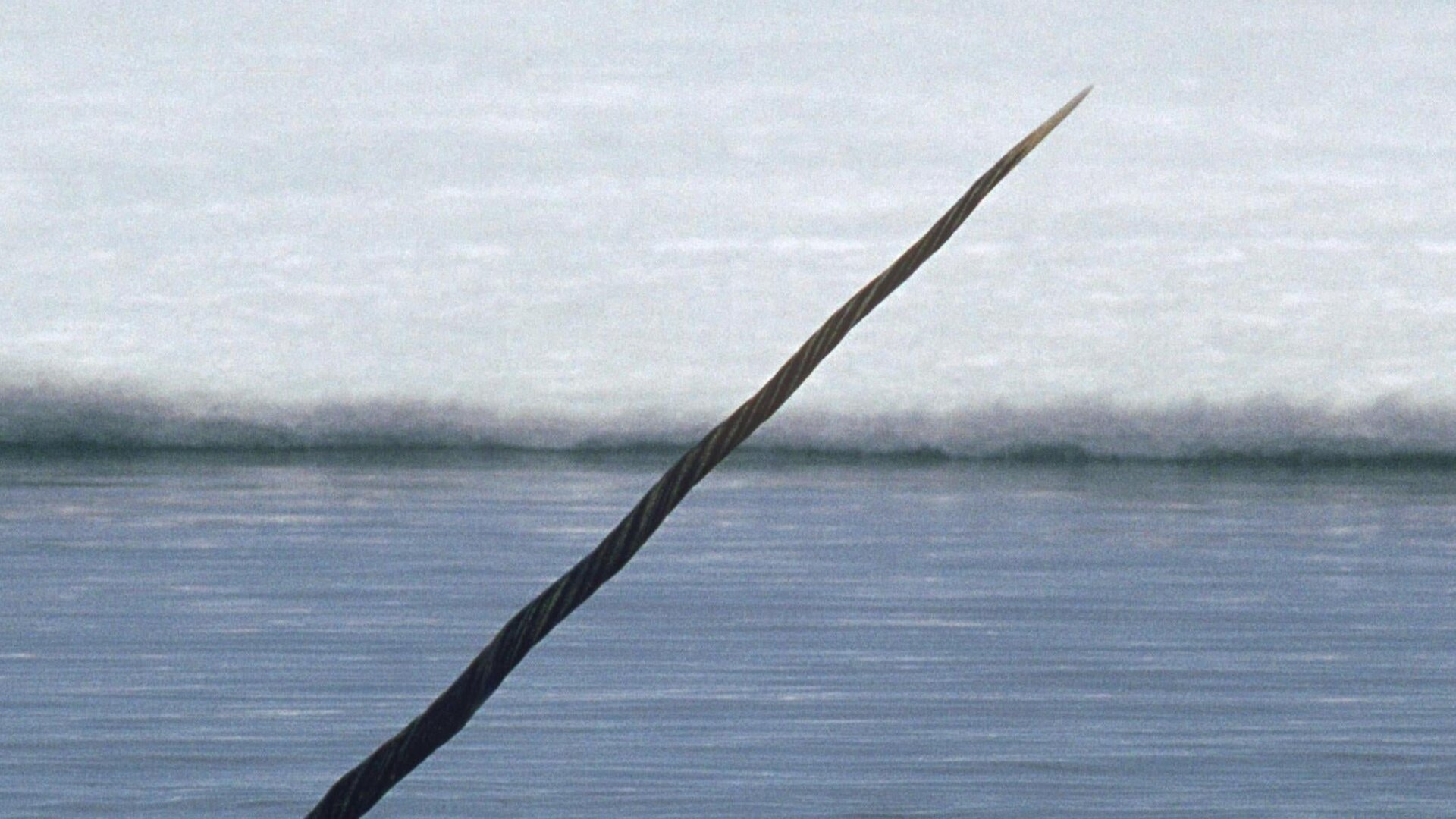 Someone needs a trip to the dentist.