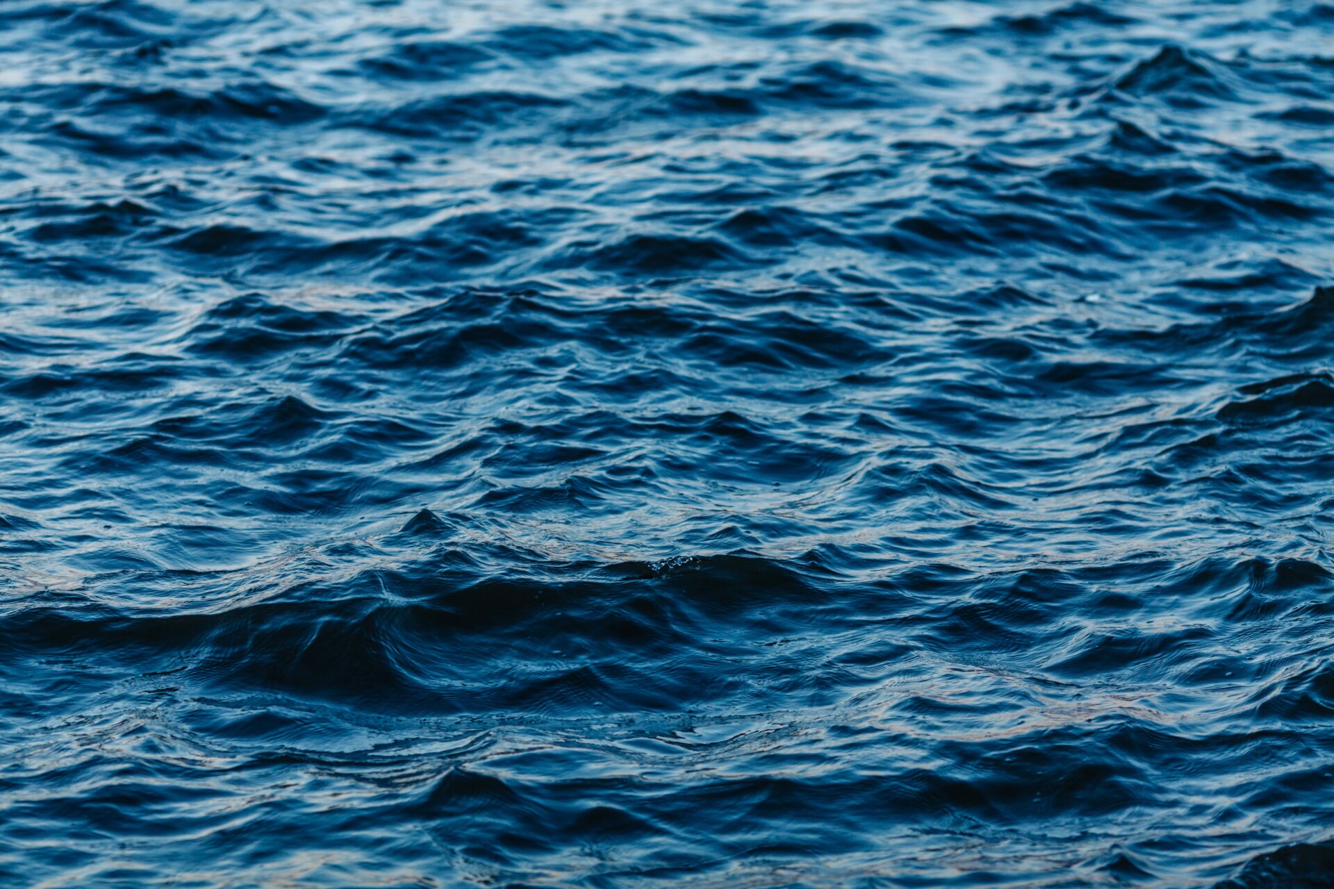 Image: Nikonov Vladimir