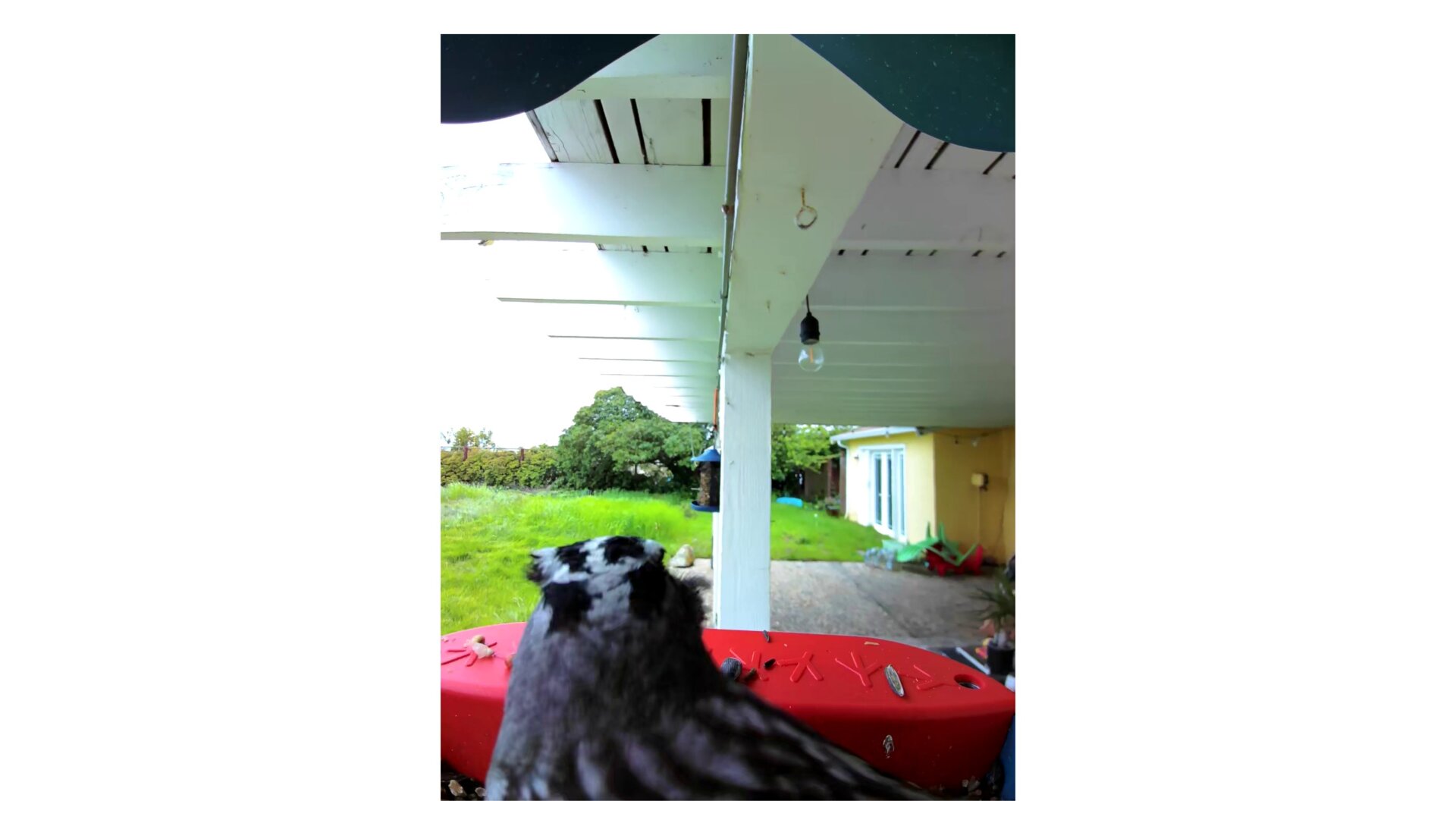 Photo: Florence Ion / Gizmodo