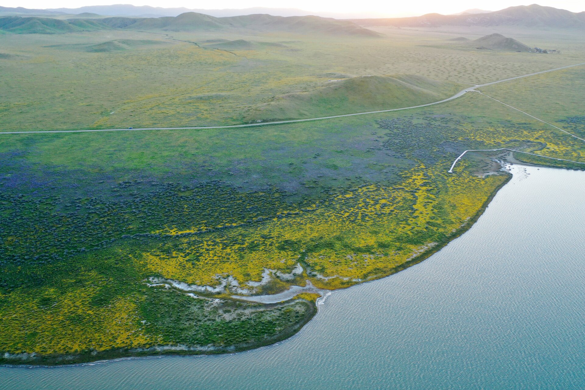 Wildflowers along the edge of Soda Lake, which is normally dry but was refilled by this year’s rains, near Santa Margarita, CA on April 13, 2023. 