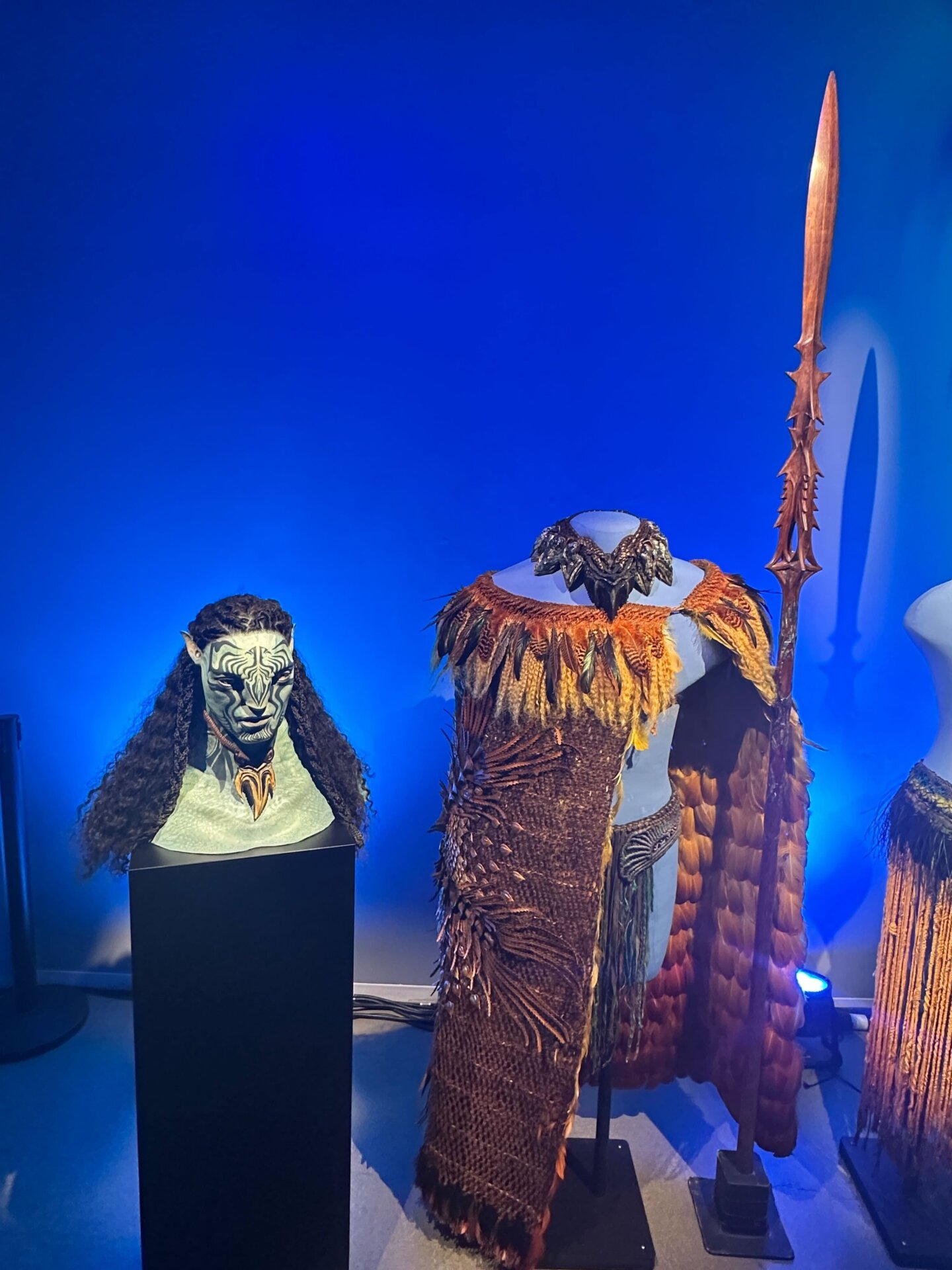 Photo: Sabina Graves/Gizmodo