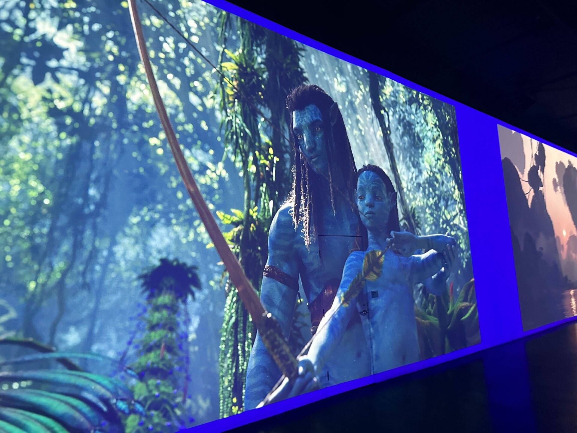 Photo: Sabina Graves/Gizmodo