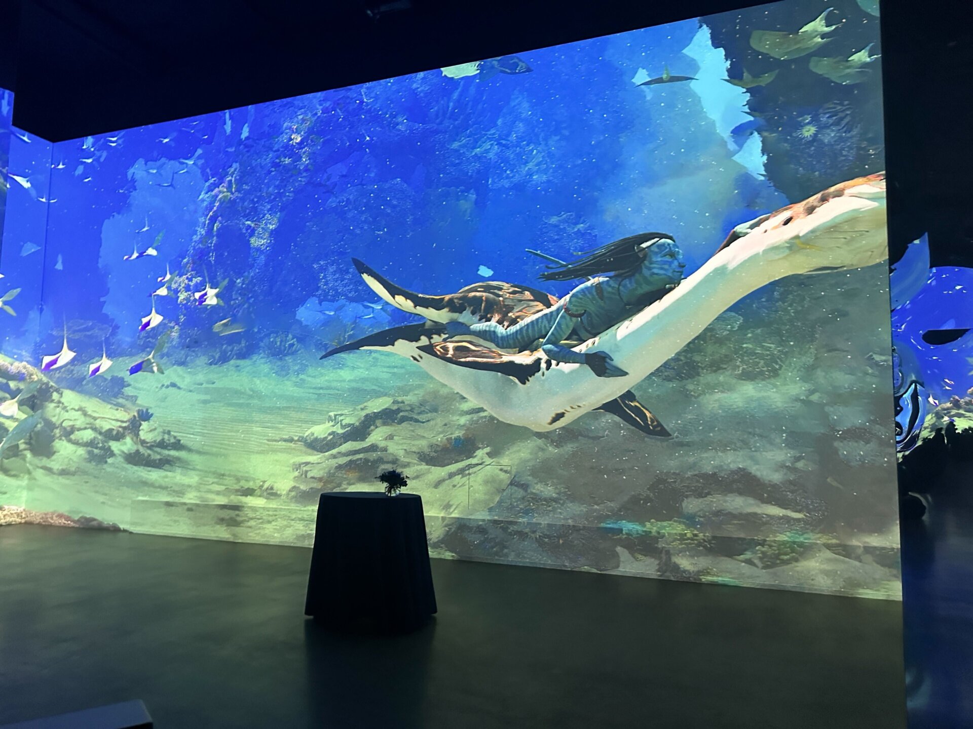 Photo: Sabina Graves/Gizmodo