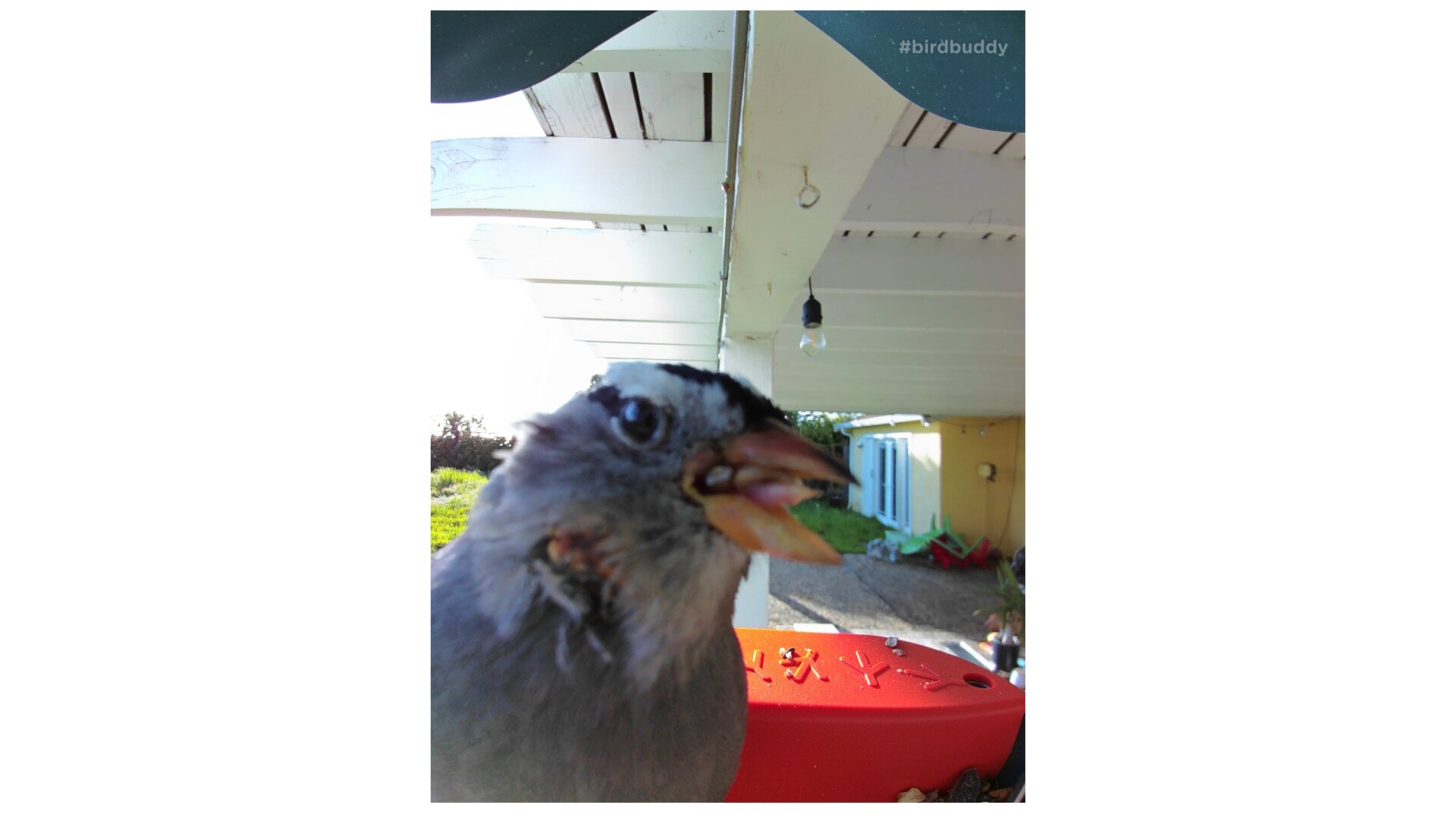 Photo: Florence Ion / Gizmodo