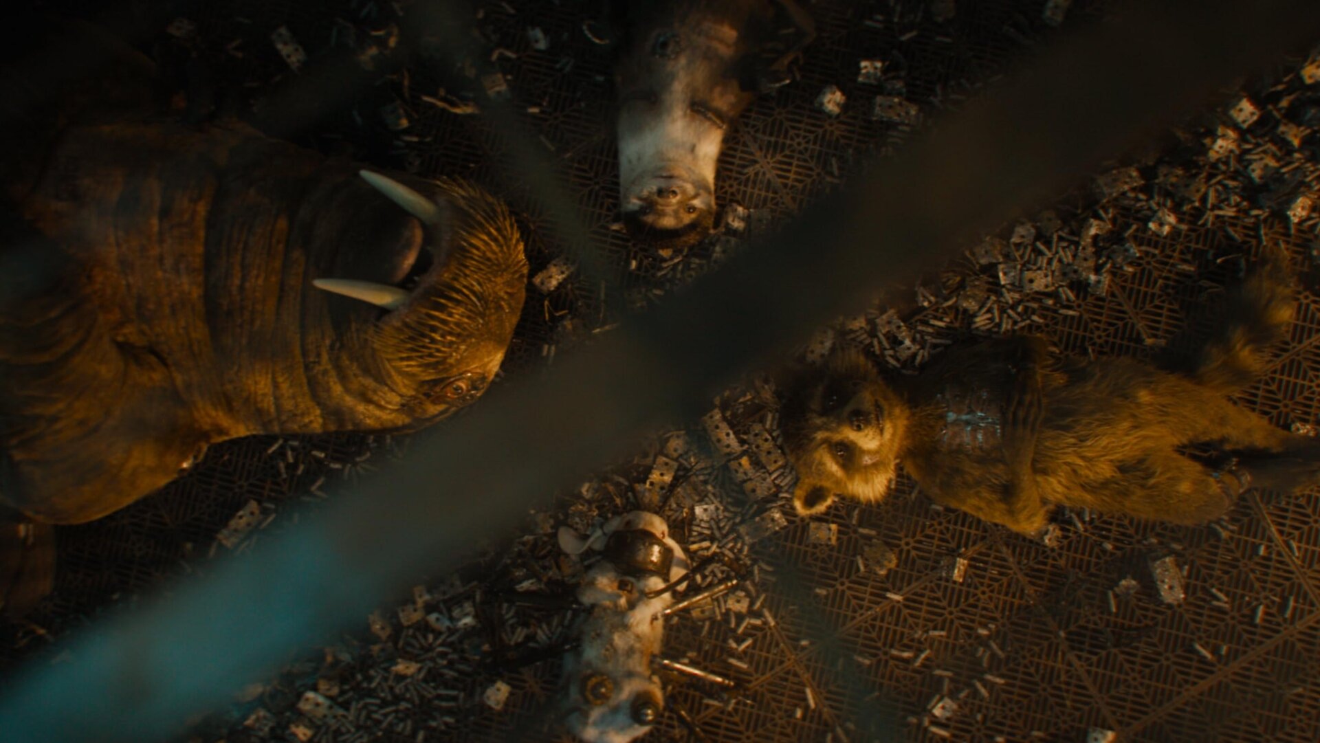 Prepare to fall in love with young Rocket, Lylla, Fllor, and Teefs.