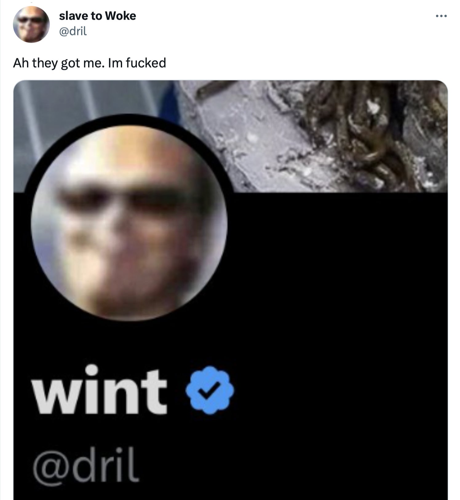 Screenshot: Jody Serrano / Gizmodo / @dril