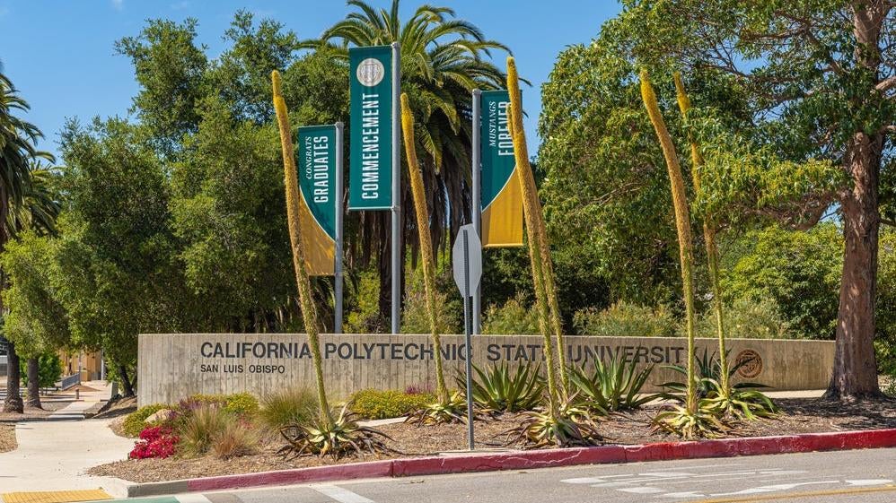 Image: Claudine Van Massenhove