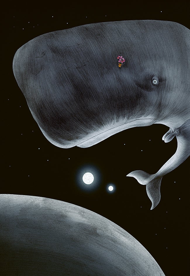 Image: Copyright Jonathan Burton