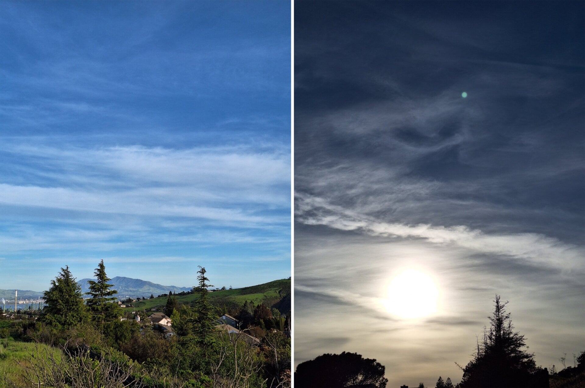 Two test shots with the Galaxy A54 during mid-day. 