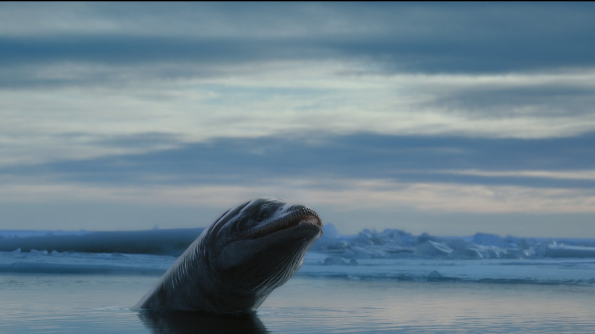 An eerie view of Mortuneria, a cold water plesiosaur.