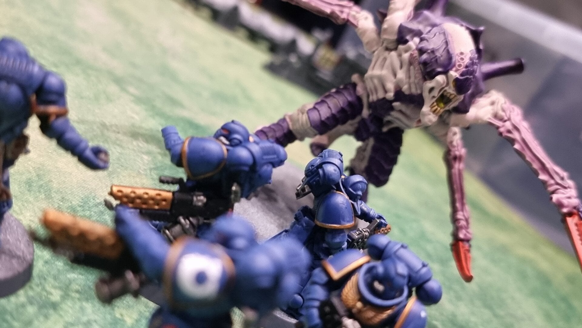 Photo: James Whitbrook/Gizmodo