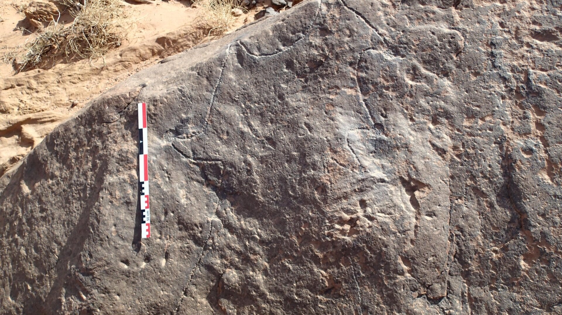 One of the engravings found by the researchers, on a boulder in Saudi Arabia.