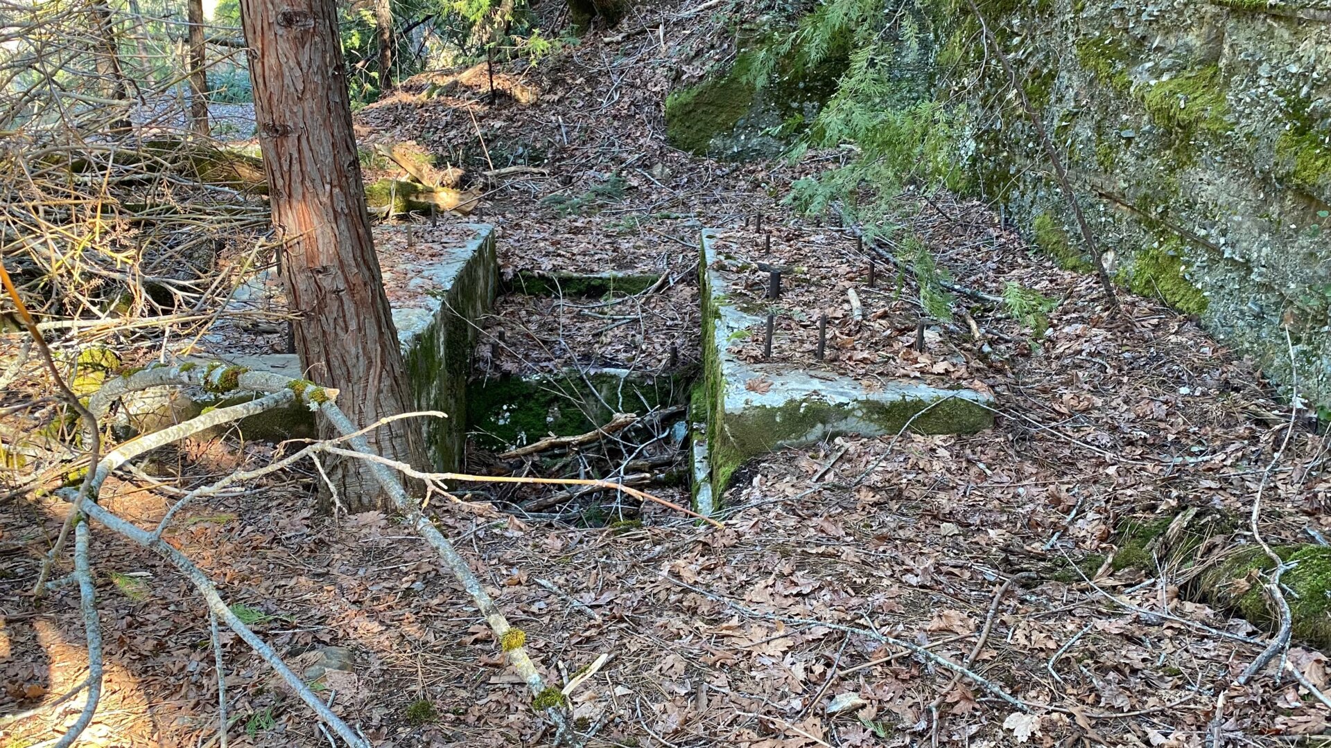 All that’s left of the old Providence Mine is a crumbling foundation and a 14-foot mine shaft right next to the public trail through the site. Construction workers helping remediate the site dropped an old boulder on the mine shaft, collapsing the cover over it. Storm damage helped fill in some of the old shaft, but it’s still a physical safety risk.