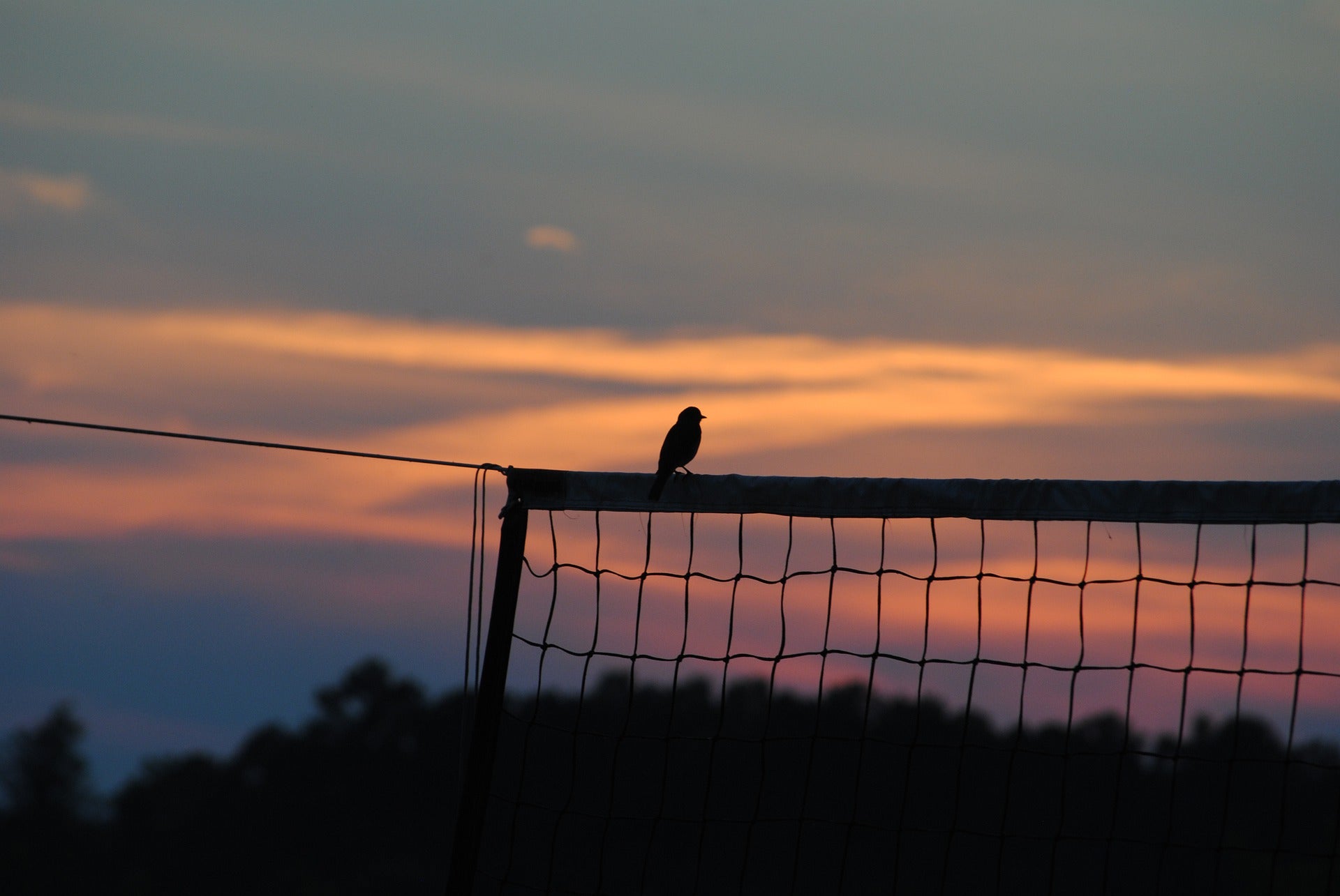 Image: Nguyen Conditions