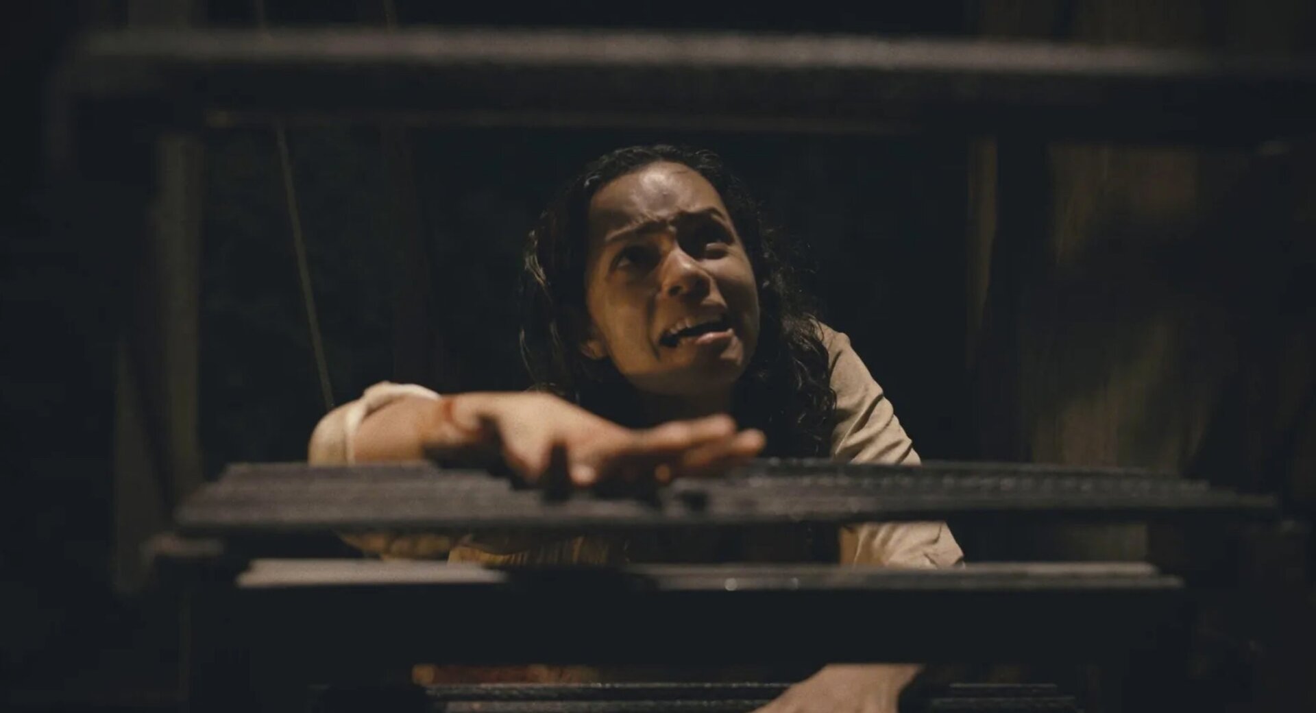 Barbarian is coming to streaming.