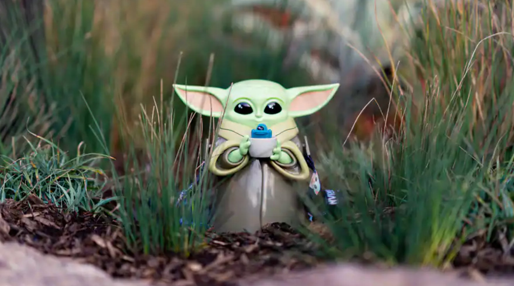 Image: Disney Parks