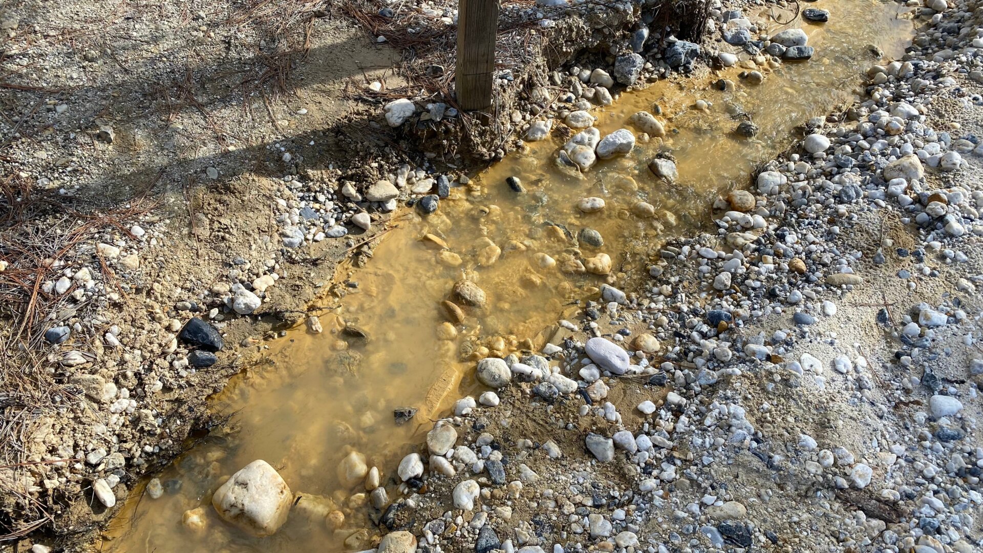 Water running across the pit at Malakoff Diggins, one of the state’s largest hydraulic mines in its heyday, comes up slightly yellow after it rains because of all the iron oxides in the soil. The pit at Malakoff is still denuded from mining though the operation closed almost 150 years ago.