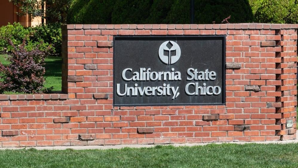 Image: David A Litman