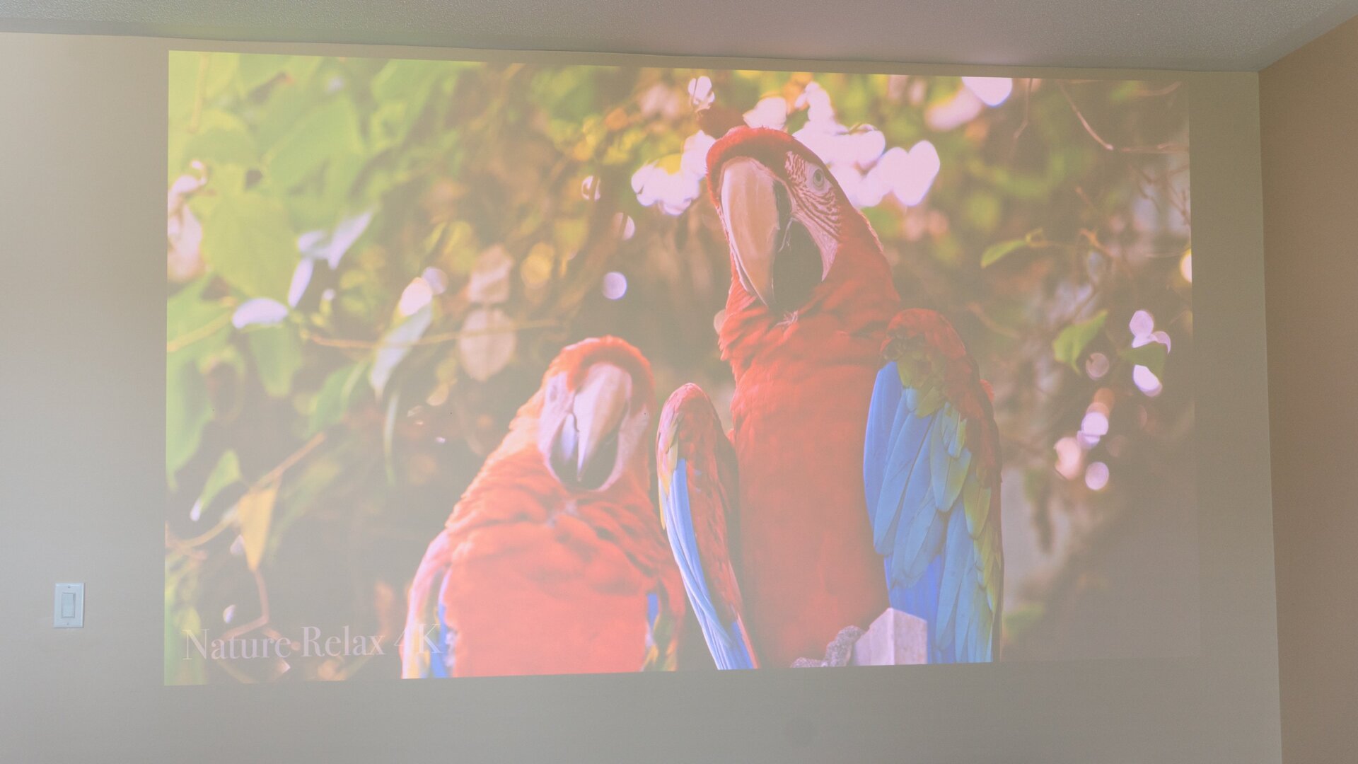 A 100+ inch image from the JMGO N1 Ultra was surprisingly watchable in a room with the blinds open in the mid-afternoon. Most projectors would be completely washed out and unusable in those conditions.