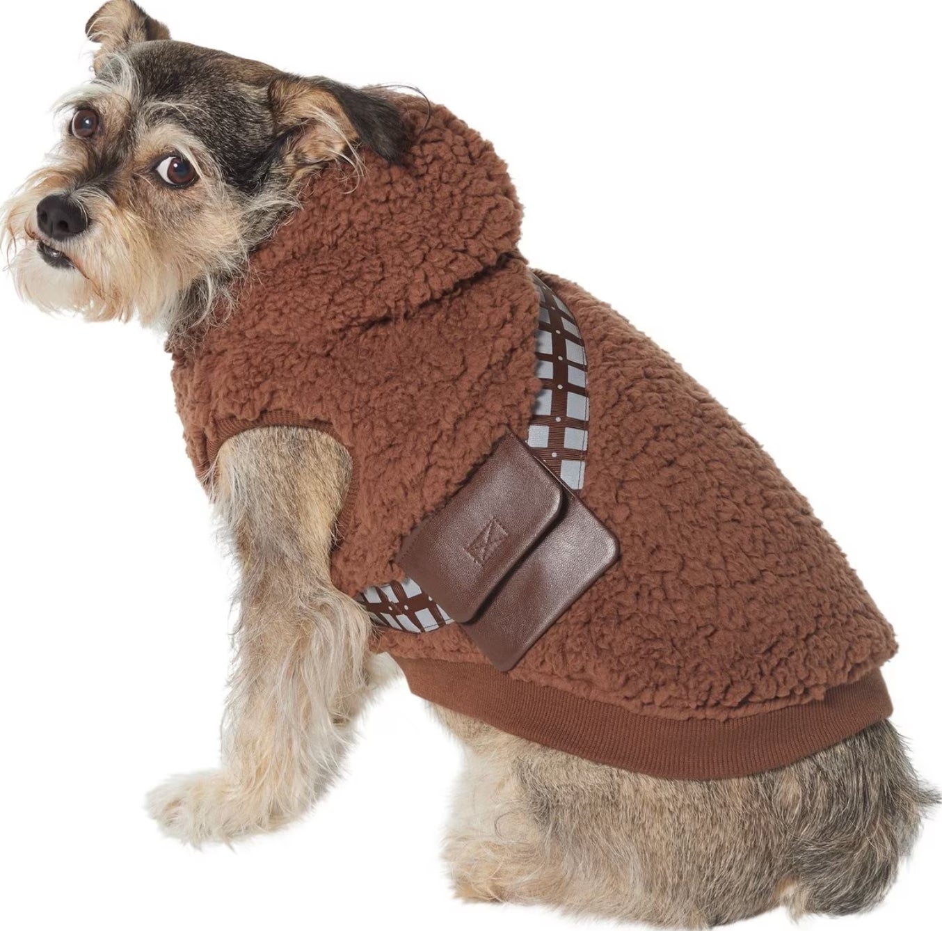 Image: Chewy