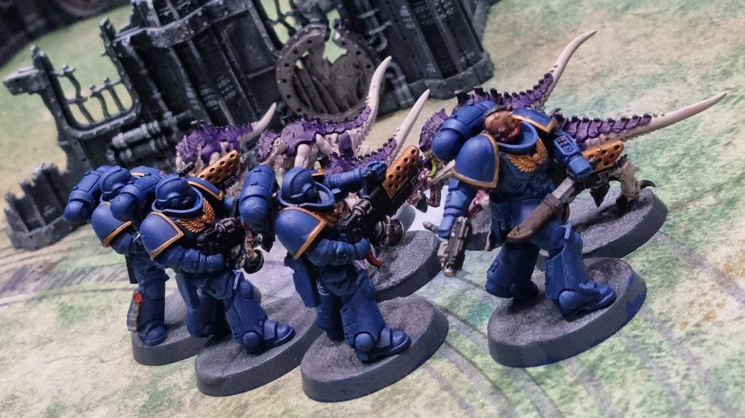 Photo: James Whitbrook/Gizmodo