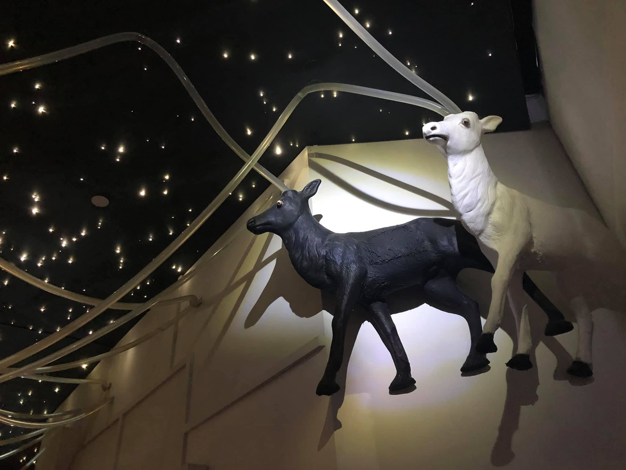 Image: Sabina Graves/Gizmodo