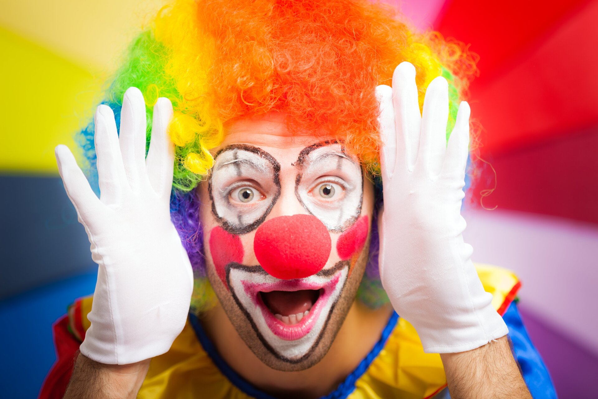 Image: Minerva Studio