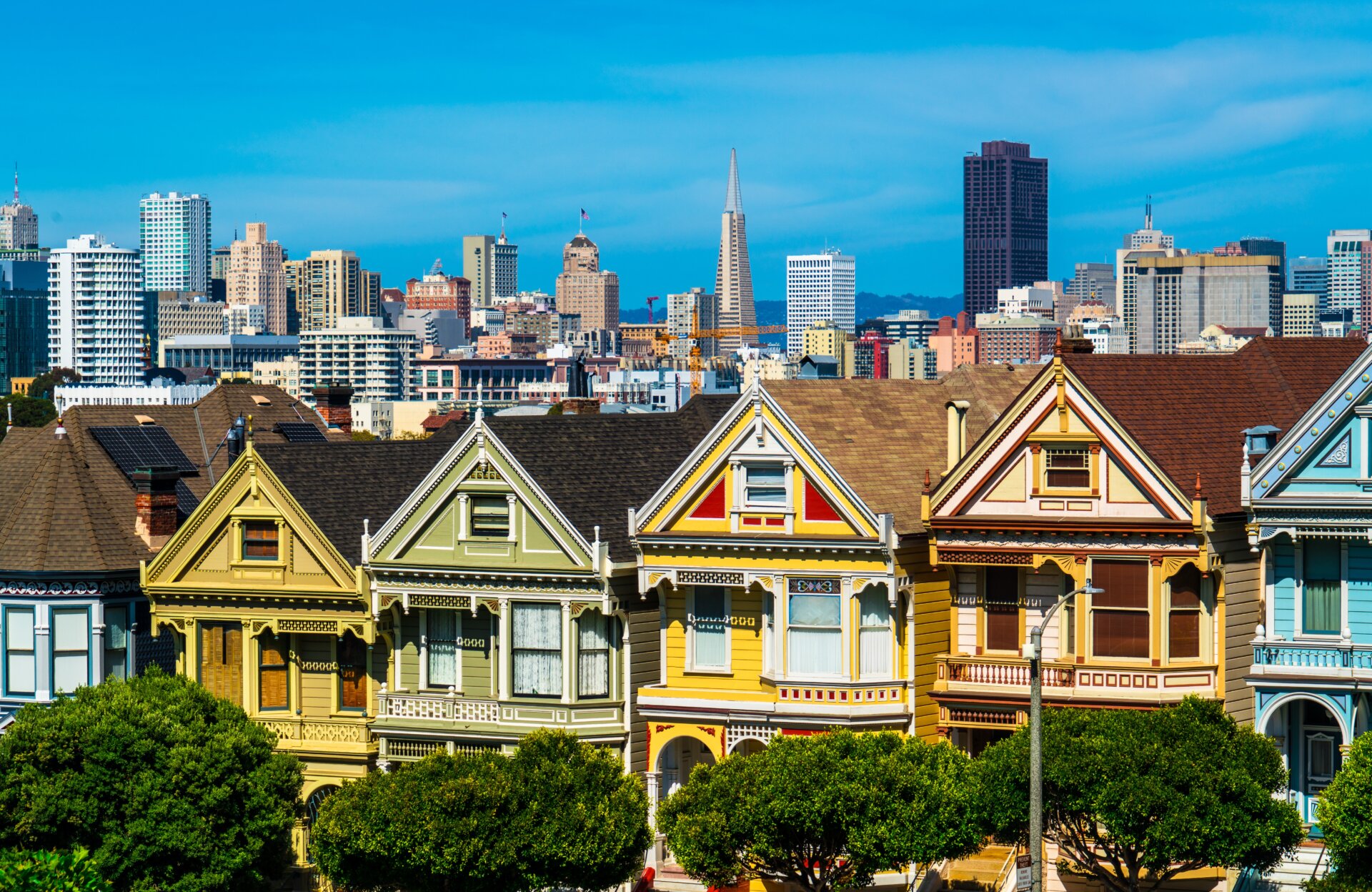 Image: Roschetzky Photography