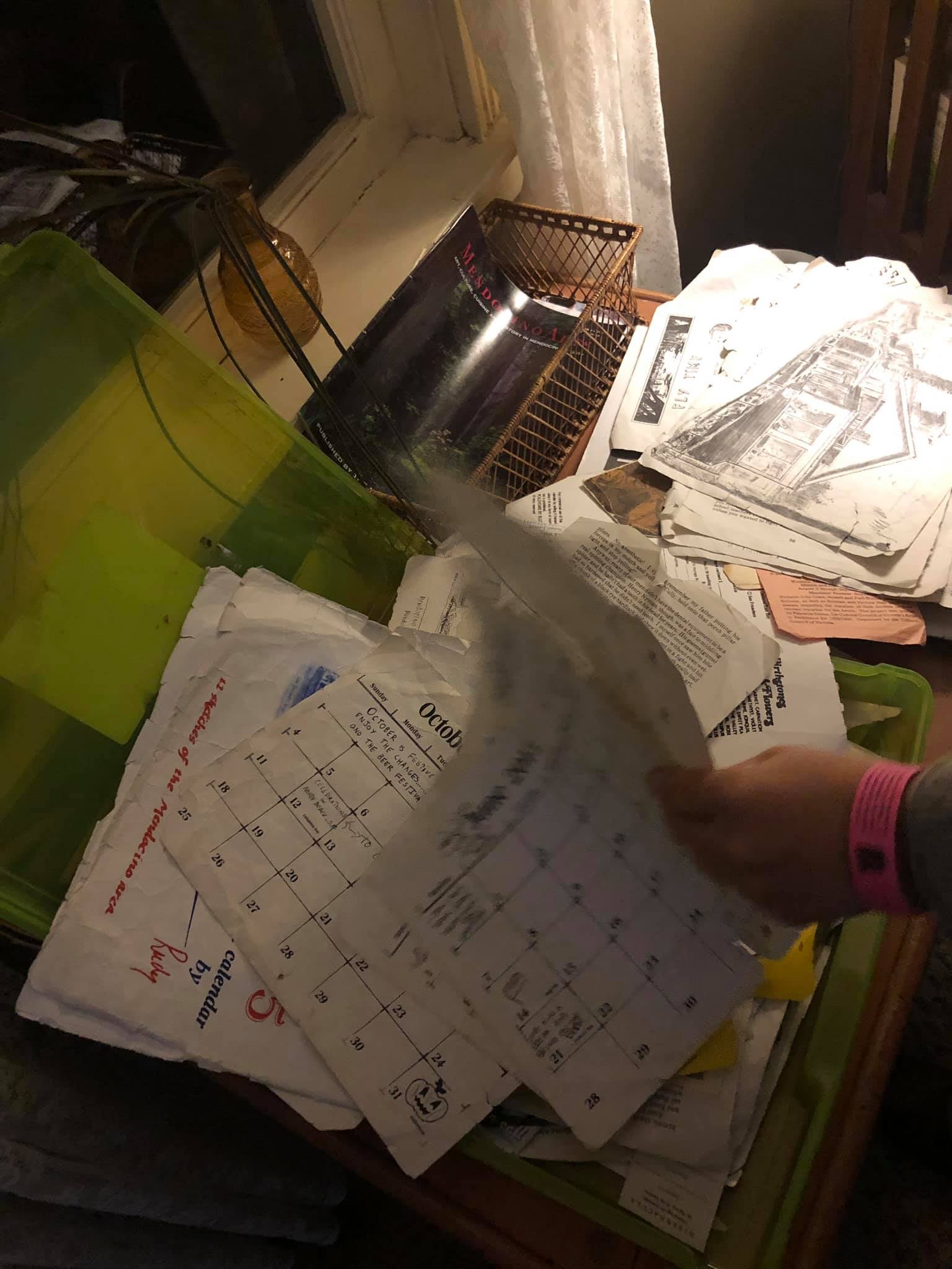 Image: Sabina Graves/Gizmodo