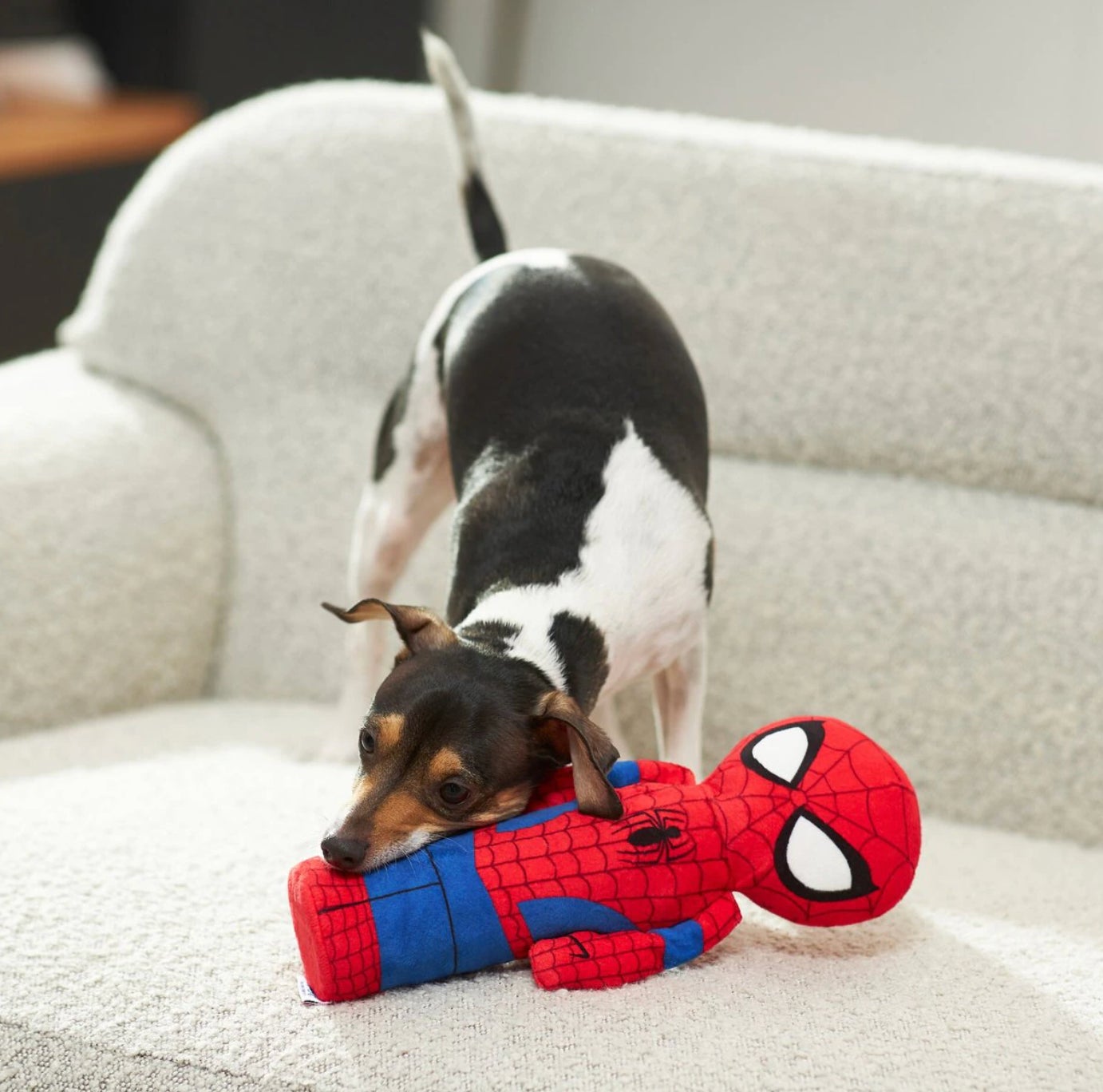 Image: Disney Parks, Experiences and Consumer Products