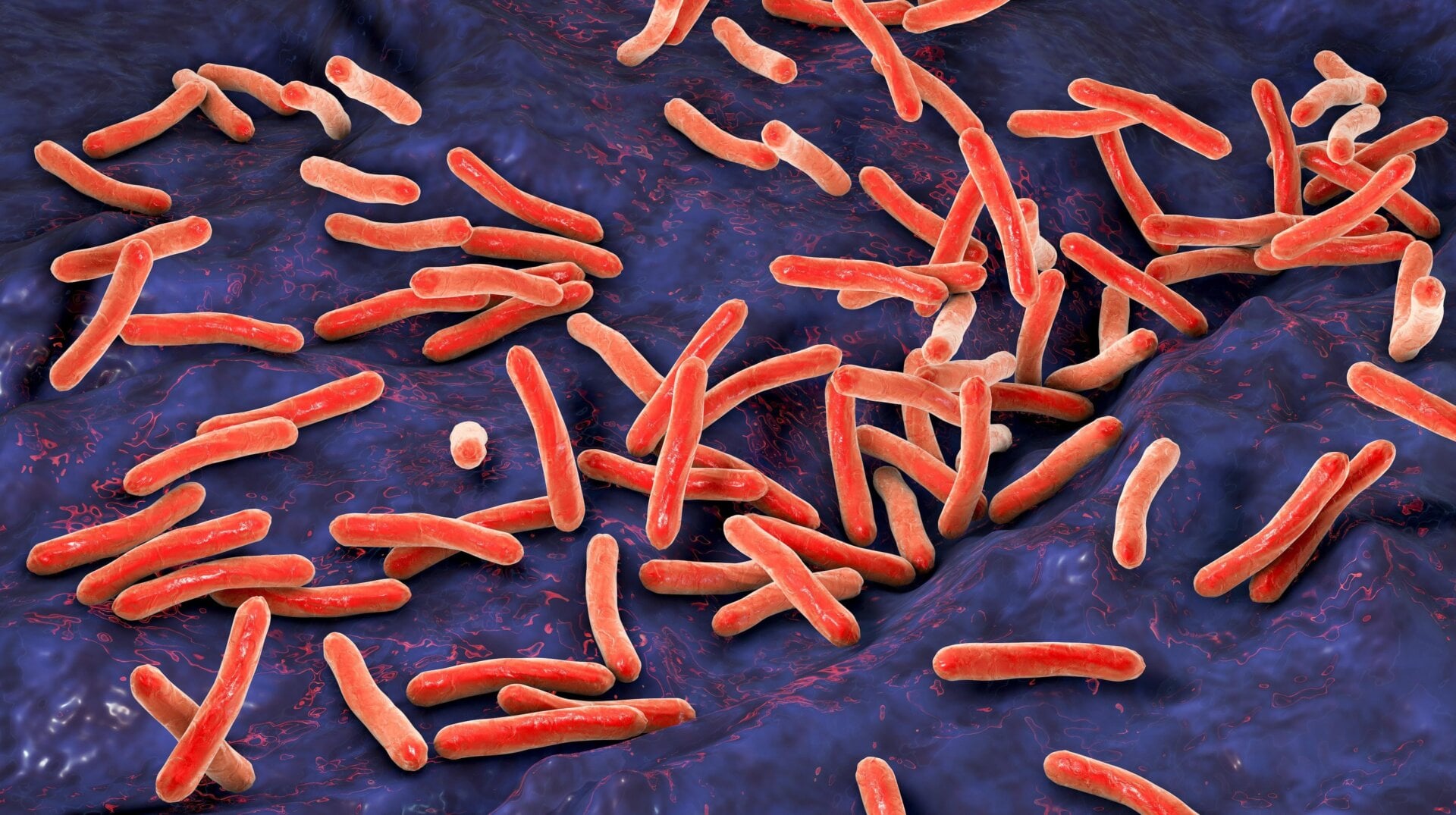 Illustration of Mycobacterium tuberculosis bacteria, the namesake cause of tuberculosis.