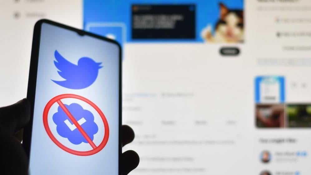 Photo: ssi77 / Shutterstock.com