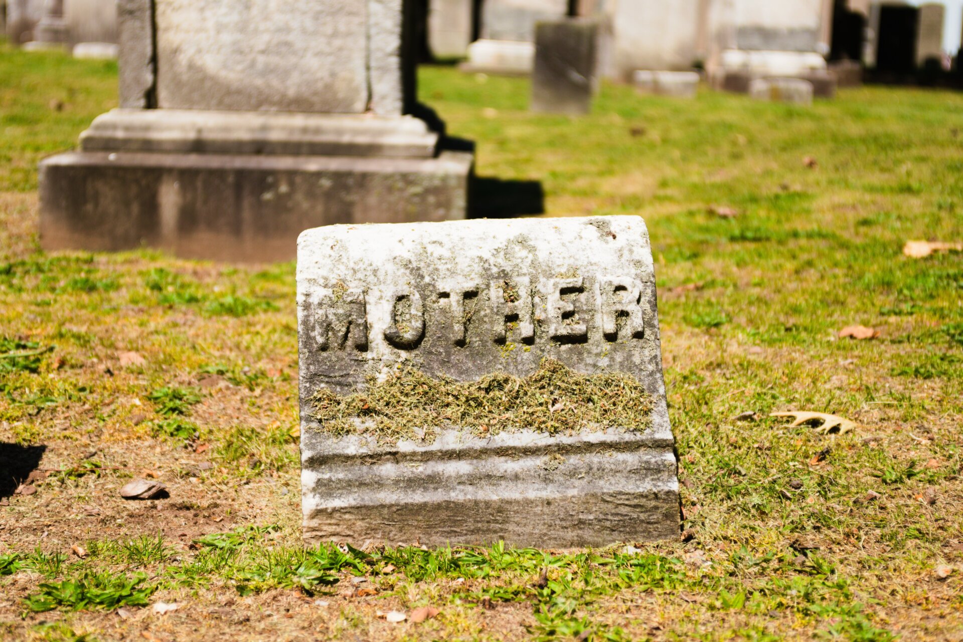 Image: Garrett Photos