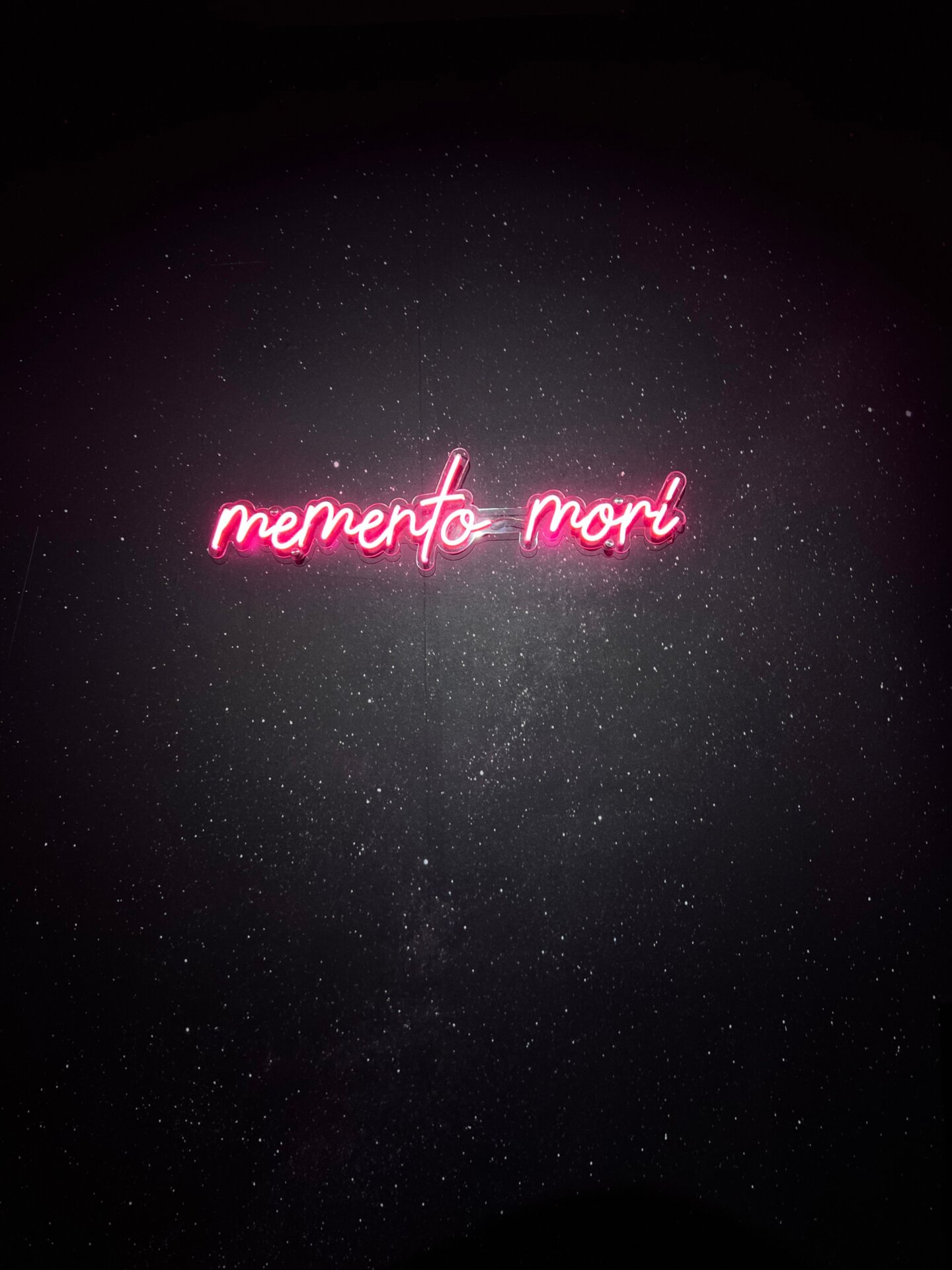 Image: Sabina Graves/Gizmodo