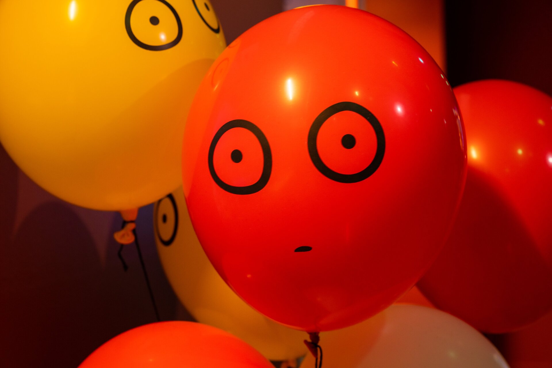 Image: Focus Features