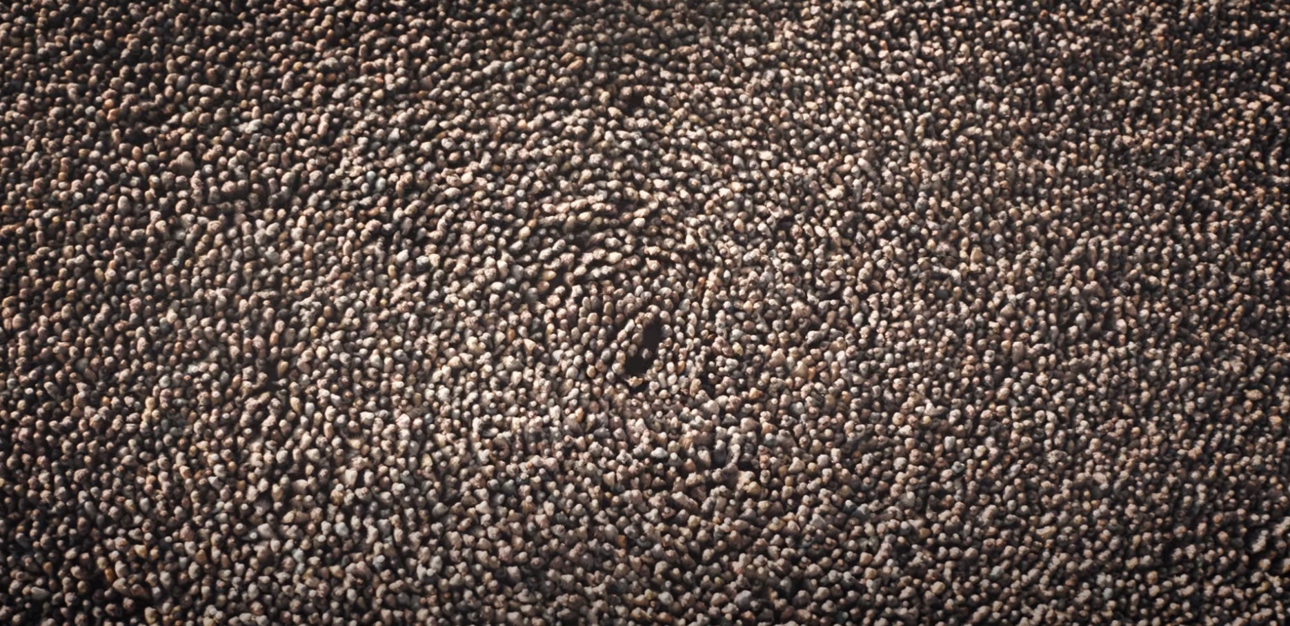 Screenshot: Warner Bros.