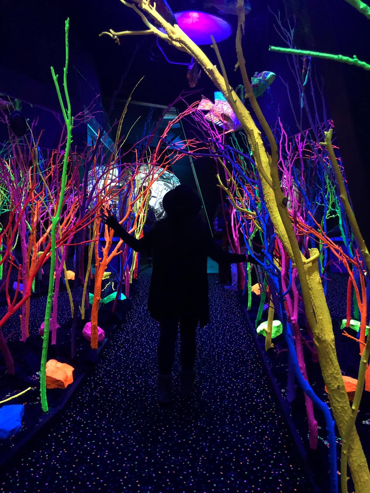 Image: Sabina Graves/Gizmodo