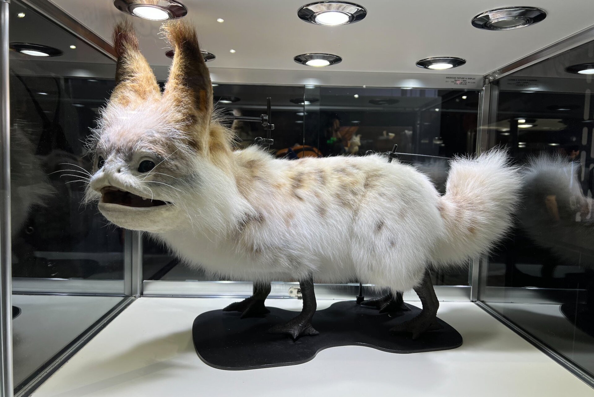 Image: io9/Germain Lussier