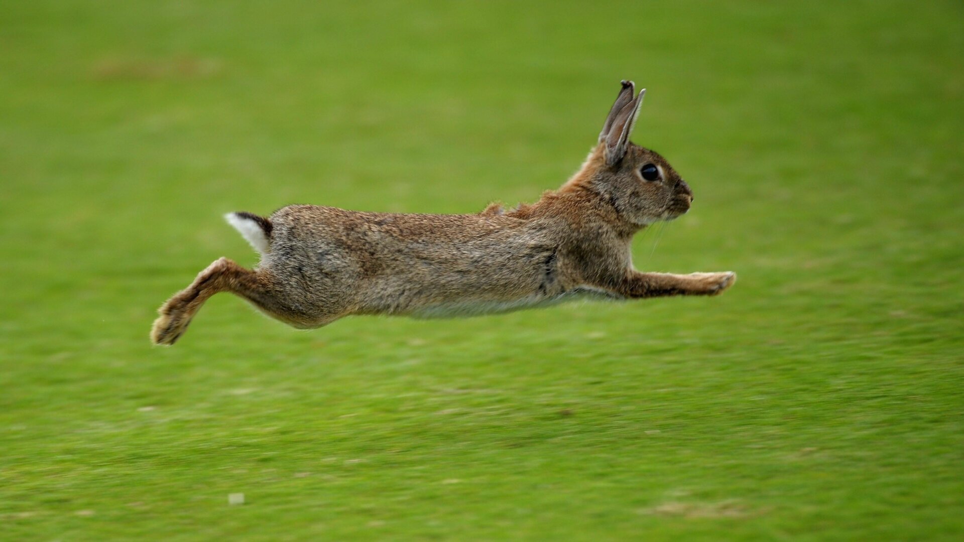 Photo: Stuart Franklin